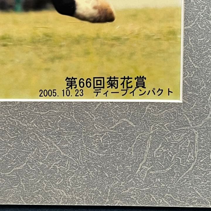 ディープインパクト 武豊 3冠馬 Gallop サンケイスポーツ　競馬 パネル