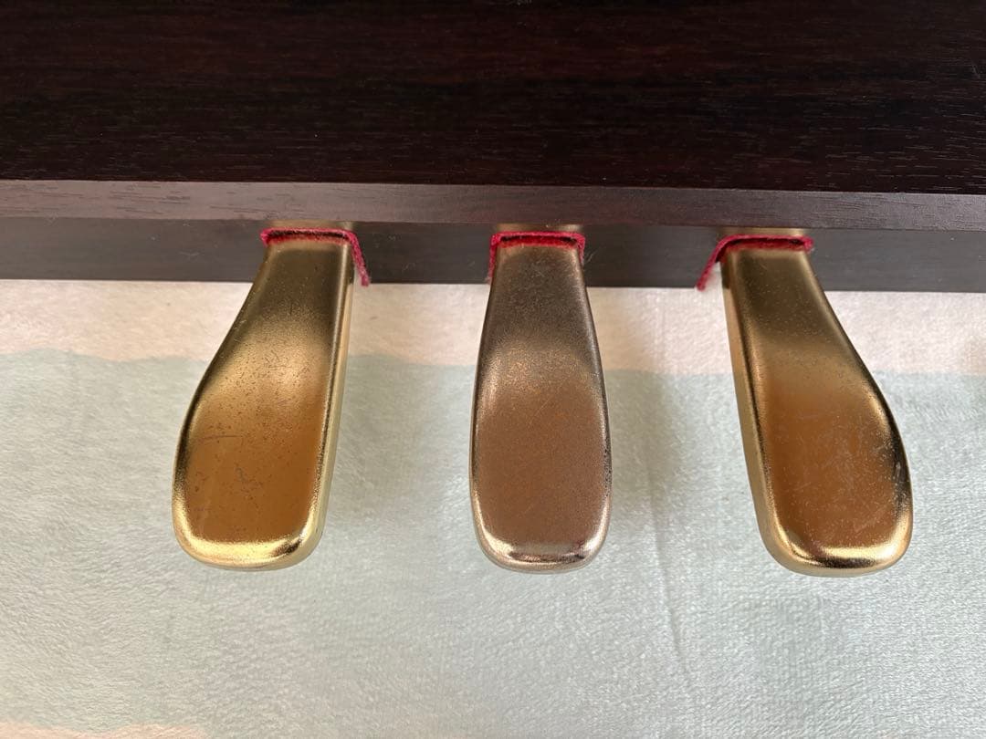 カシオ CASIO AP-33 [デジタルピアノ] セルヴィアーノ