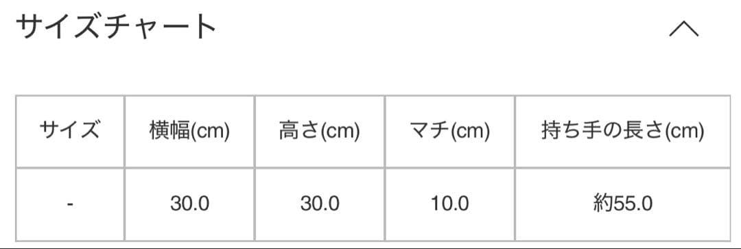 オムプリッセイッセイミヤケ ROUNDED SQUARE BAG