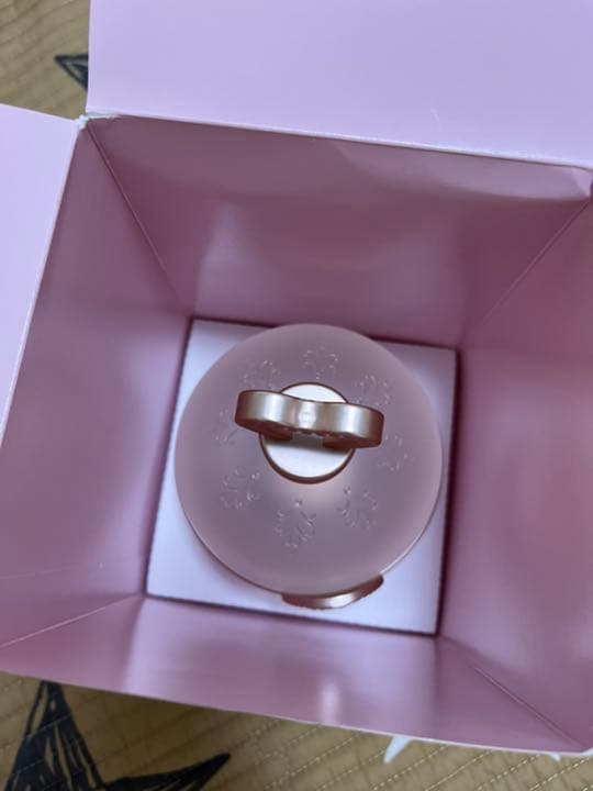 新品未使用 ラデュレ チークポット　限定　サクラ