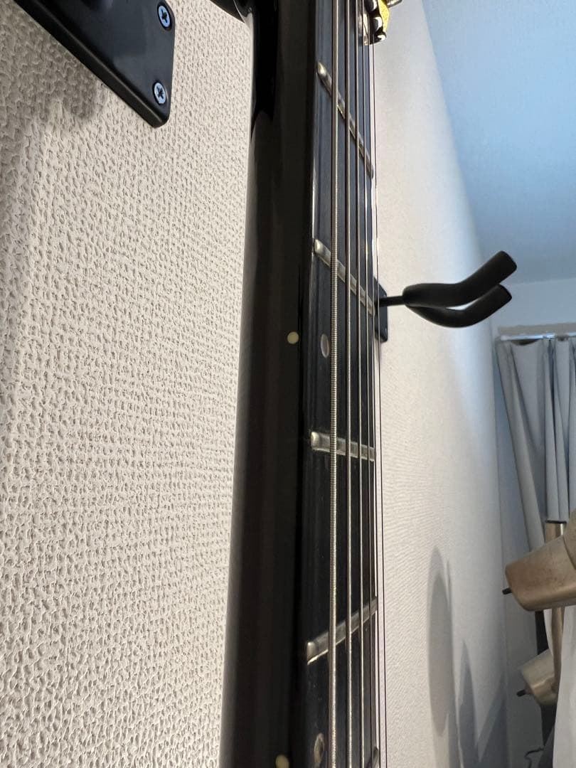 ESP Forest-GT 2002年製　シースルーブラック