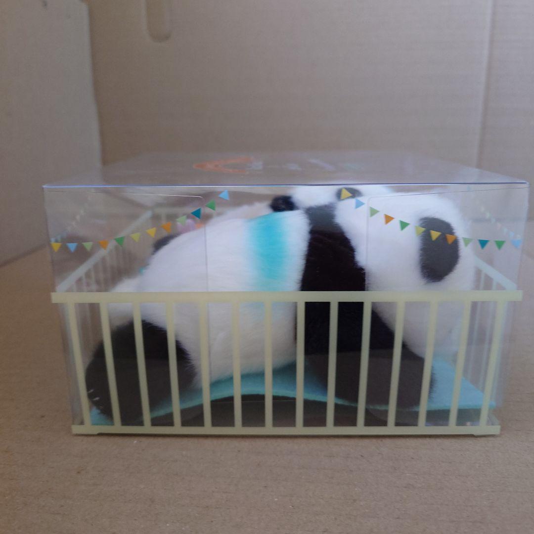 L未使用 シャオシャオ レイレイ 1歳 記念 ぬいぐるみ