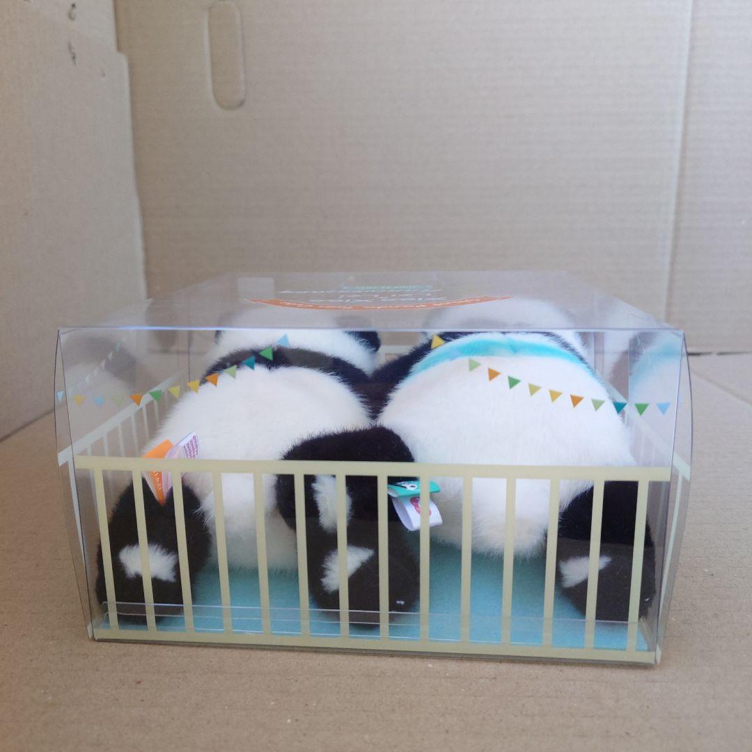 L未使用 シャオシャオ レイレイ 1歳 記念 ぬいぐるみ