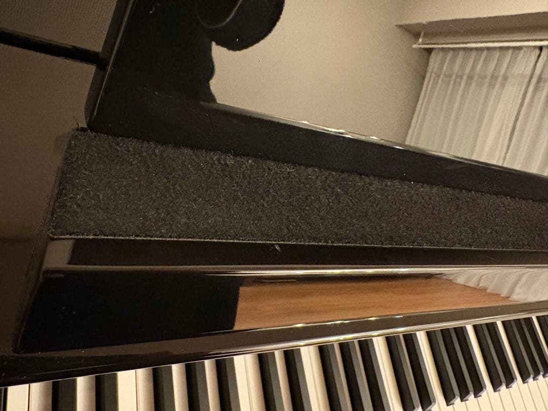 鍵盤楽器 CASIO Celviano Grand Hybrid GP-1000