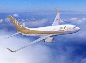 【希少】ANA B737 Aviationtag ミックスカラー