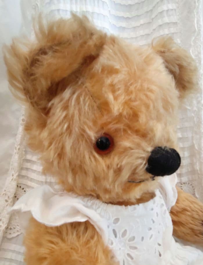 チャドバレーベア 47cm