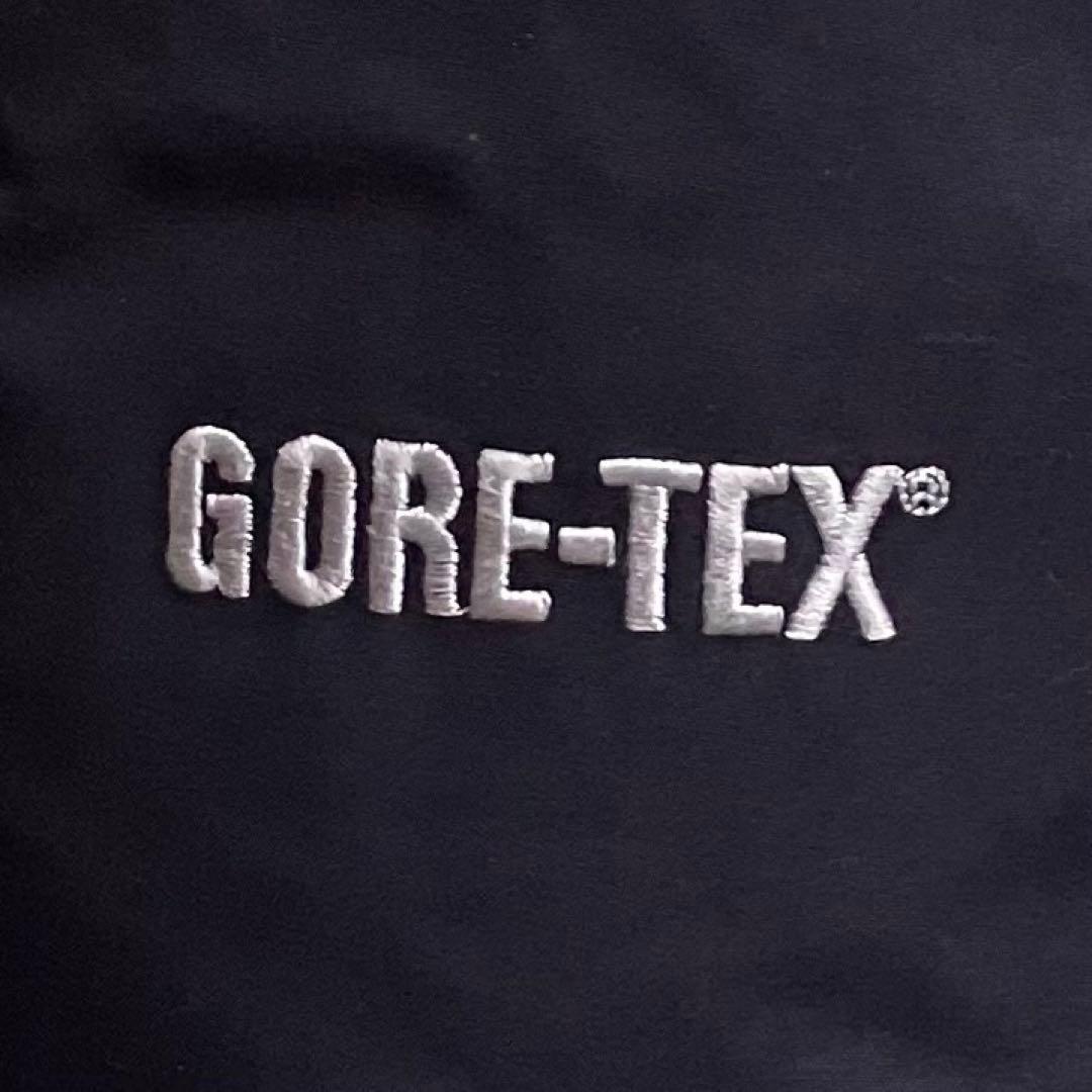 ザ ノースフェイス GORE-TEX ダウンジャケット M ダウンパーカ 黒