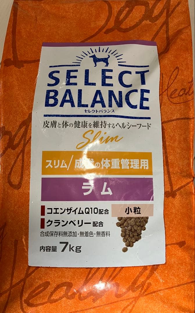 kidooo様 リクエスト 2点 まとめ商品