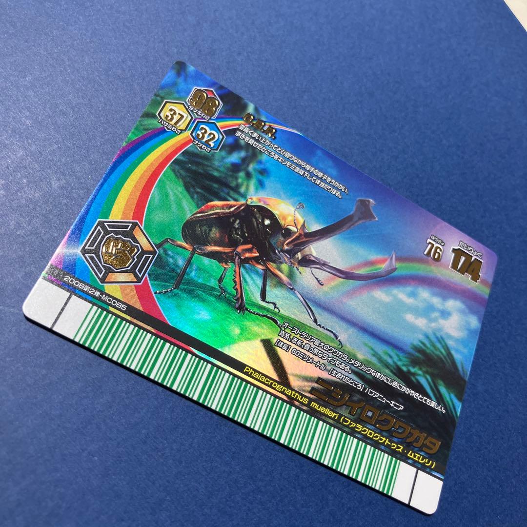 甲虫王者ムシキング　アダー完結編　レインボー　ニジイロクワガタ　オレンジ　１枚