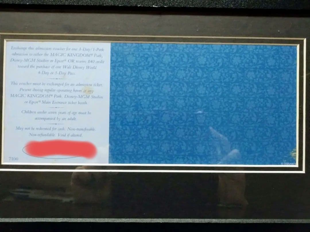 ★WDW★ウォルト・ディズニー・ワールド25周年★記念フレーム★