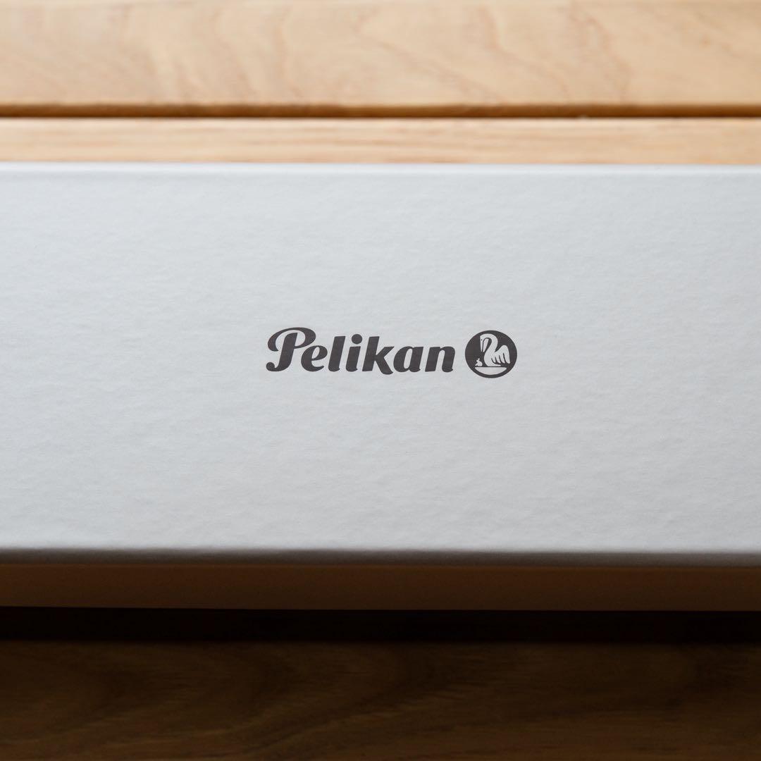 （美品）Pelikan スーべレーンM805 EF 黒 万年筆 ケース付き