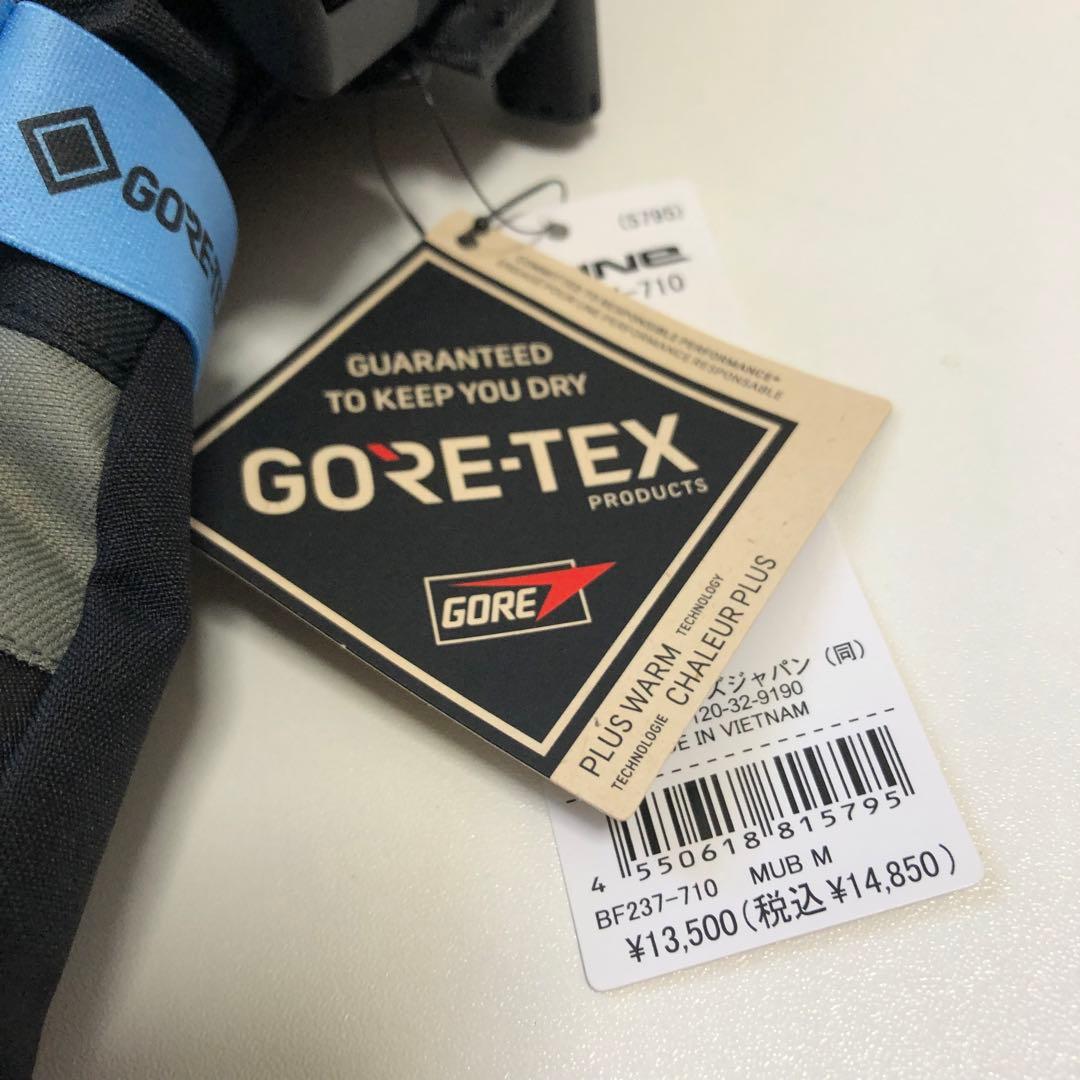 スノーグローブ DAKINE ダカイン TITAN ゴアテックス タイタン