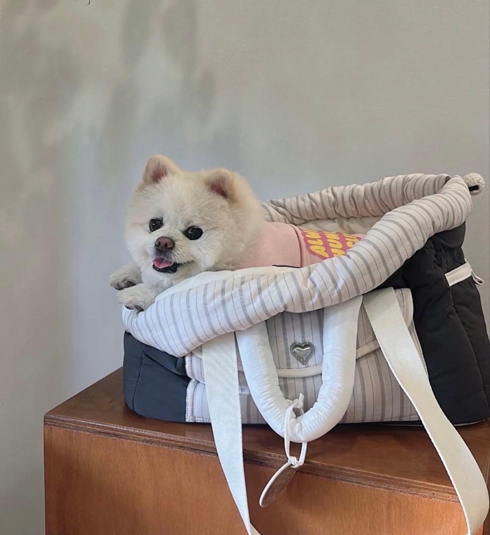 SEORU 韓国 LETTER BAG 完売品