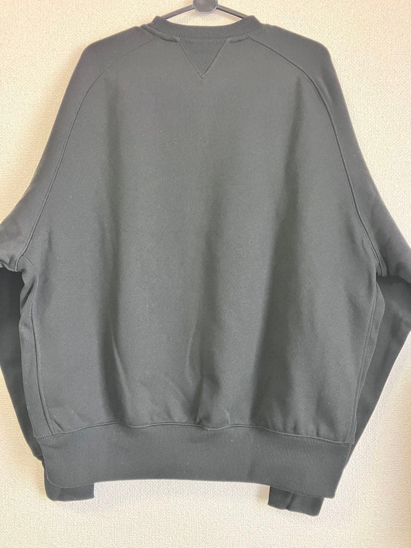 ダイワピア39 TECH SWEAT CREW FREEDOM SLEEVE