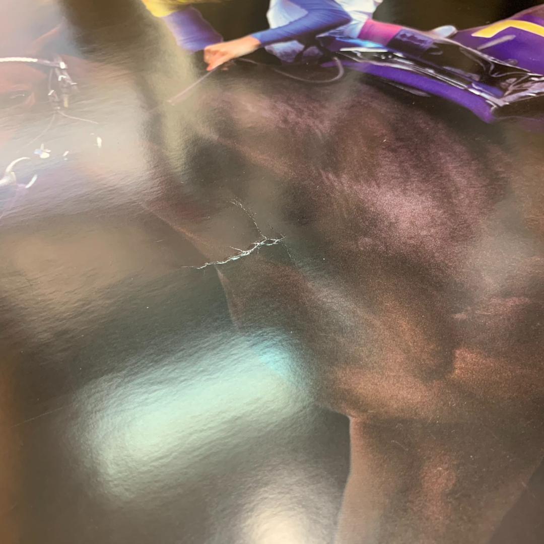 ［競馬］　ディープインパクト 　JRA ポスター「感動をありがとう」　A1