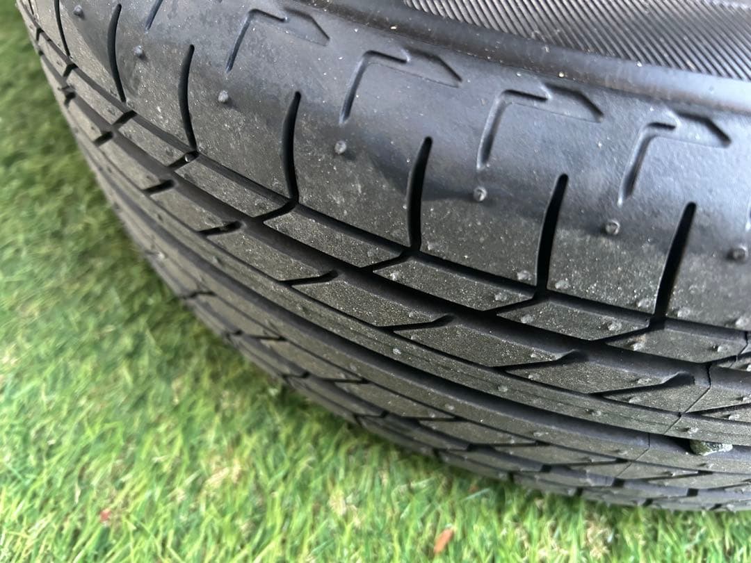 ガジュマルさん専用