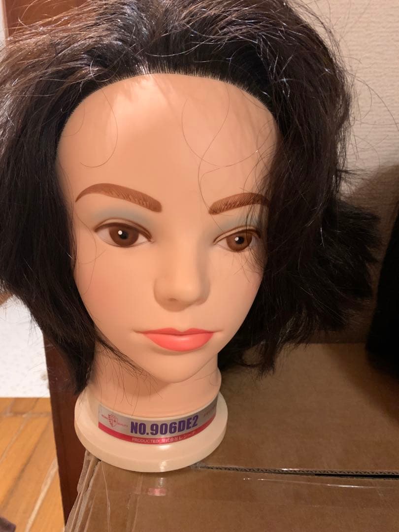 美容師、ウィッグ5個セット、国家試験