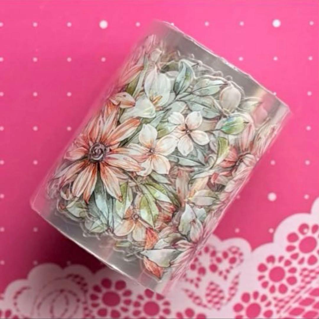 贝壳光 微光 ダイカット加工 6cm×5m海外マスキングテープ　海外マステ　花