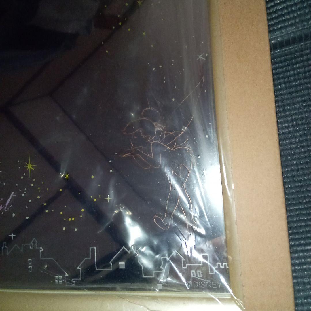 【人気商品】ディズニーストア限定　ティンカーベル　エッチングミラー