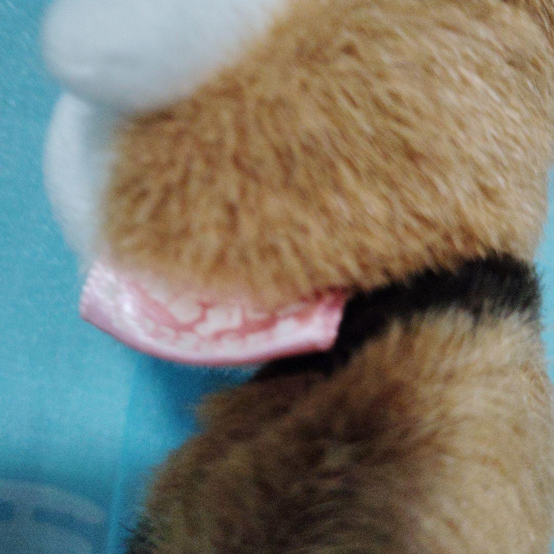 サンリオ ハローキティ しっぽ倶楽部 アライグマ マスコットホルダー ぬいぐるみ