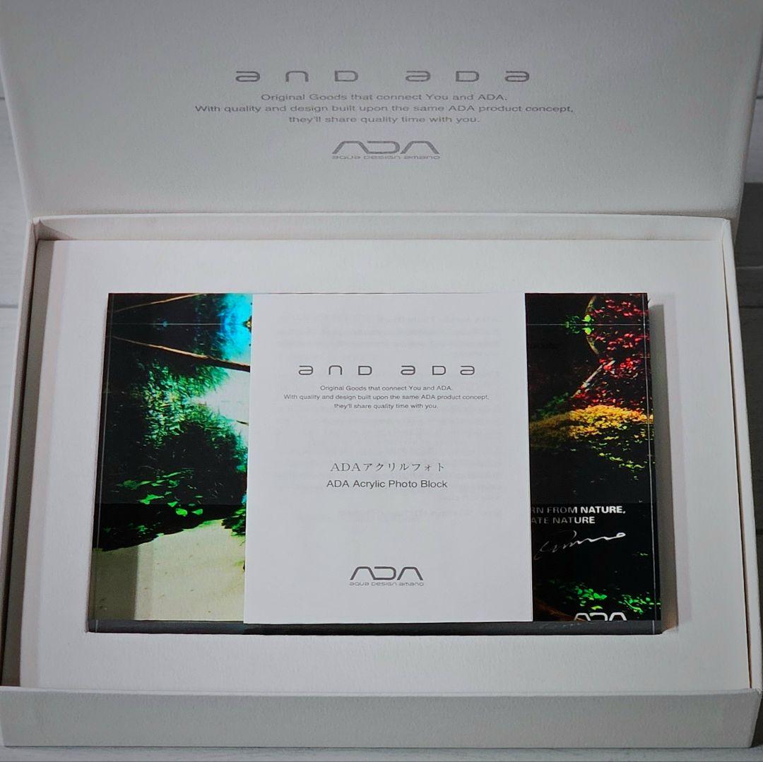 ADA アクリルフォト 水中の森 Forests Underwater 新品