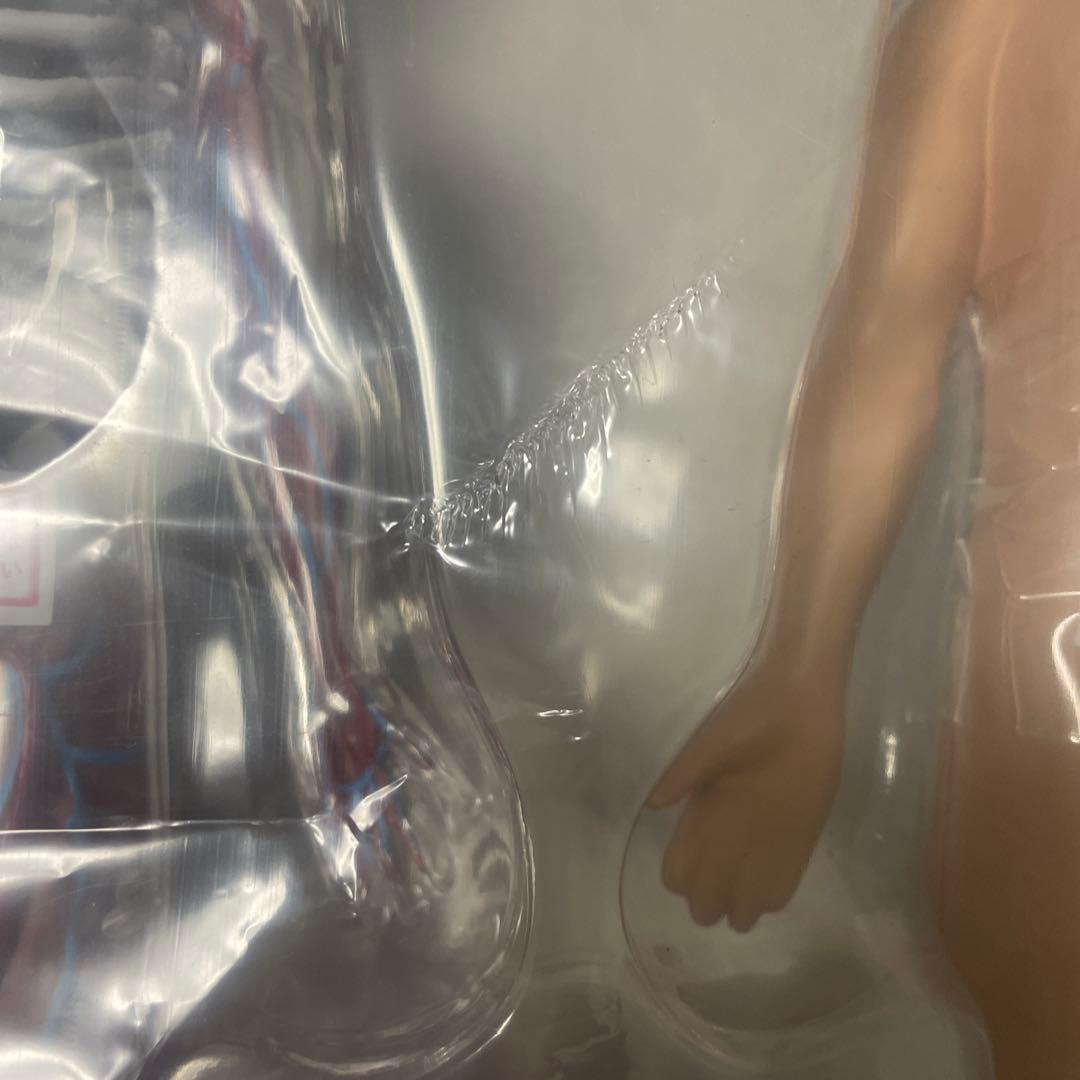 ポルノグラフィティ 人体模型 PORNOGRAFFITTI