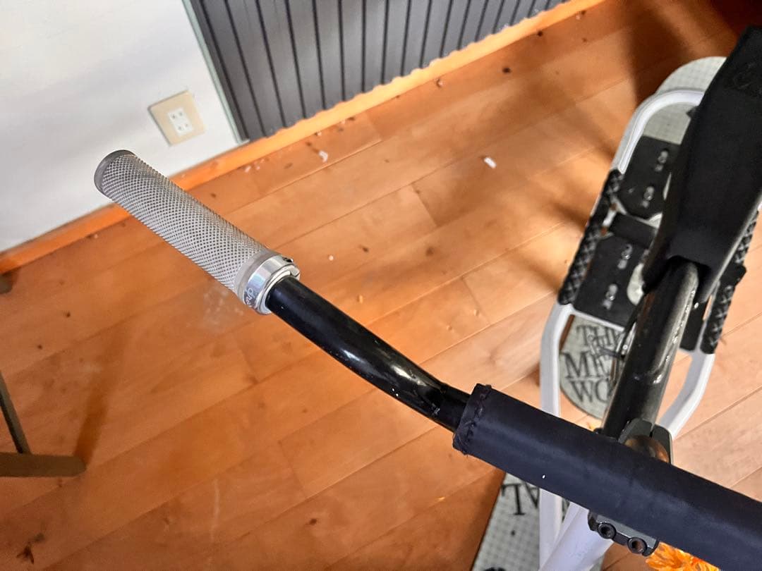 TMW スノーモト スノーバイク