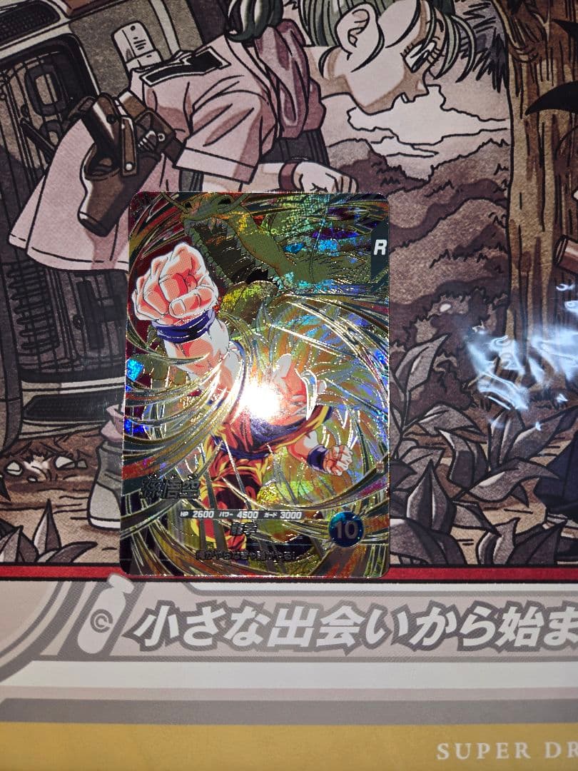 DBSDV GDRまとめ売り