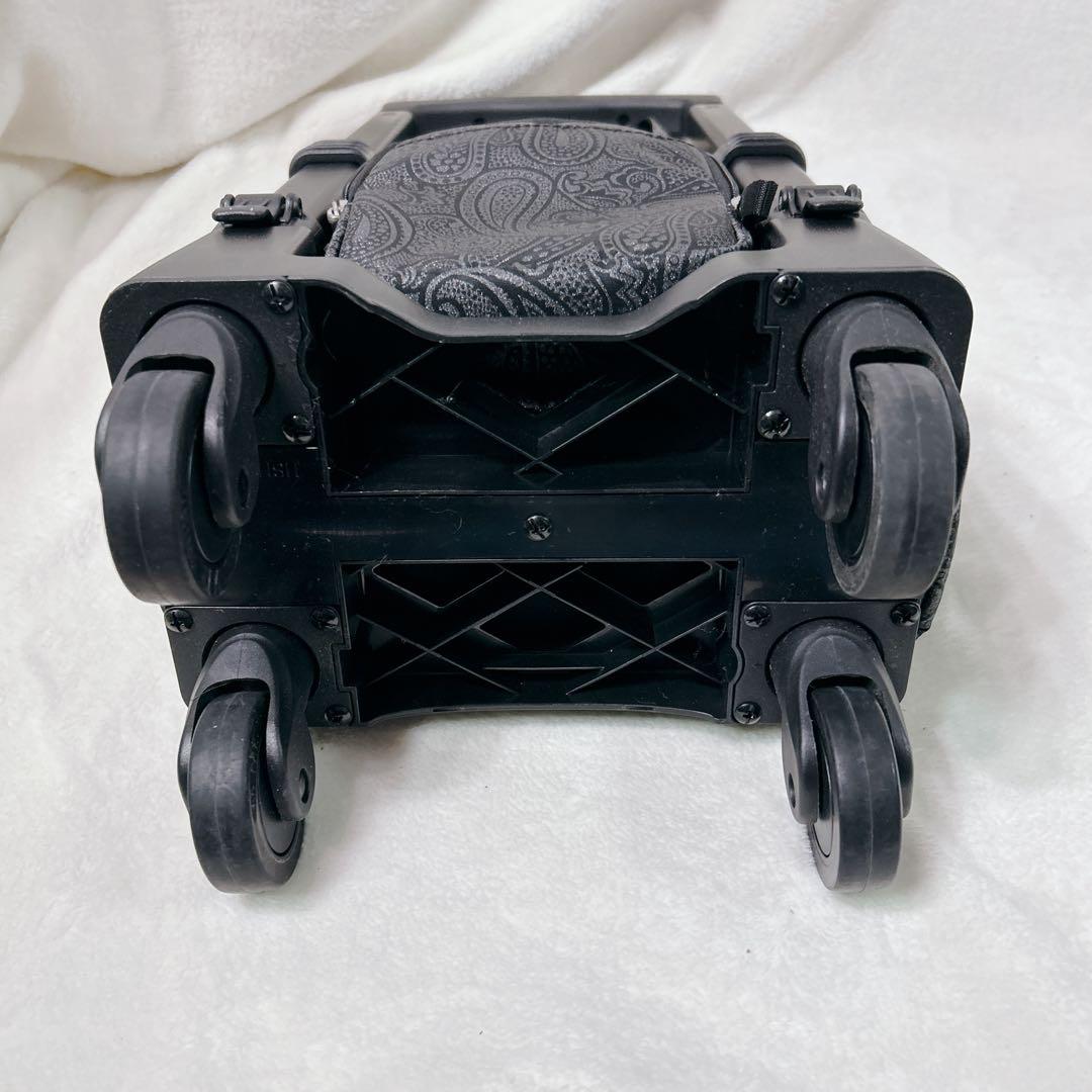 美品 SWANY スワニー キャリー バッグ ペイズリー柄 ストッパー付き 保冷