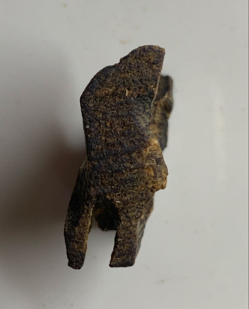 極上緑油伽羅 沈香 香木 沈香線香 緑油伽羅 重さ:2g 限定価格