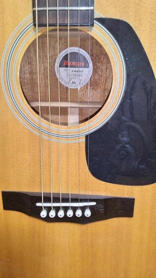 ❤️弦高調整済！「MORRIS モーリス F-01 II　 F-ゼロワン2 」