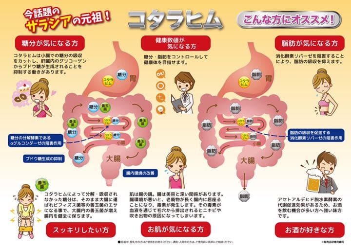 ユニティー コタラヒム310 1箱（60包）