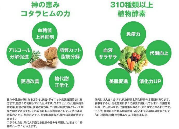 ユニティー コタラヒム310 1箱（60包）