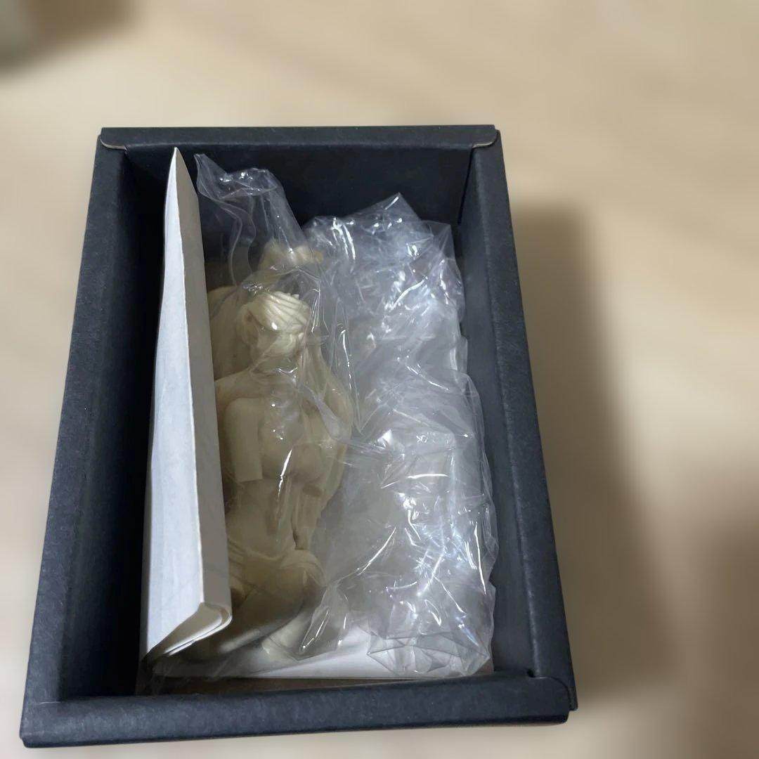 WAVE製EVEガレージキット希少品外箱美品・内容物良好コレクター向け完品セット