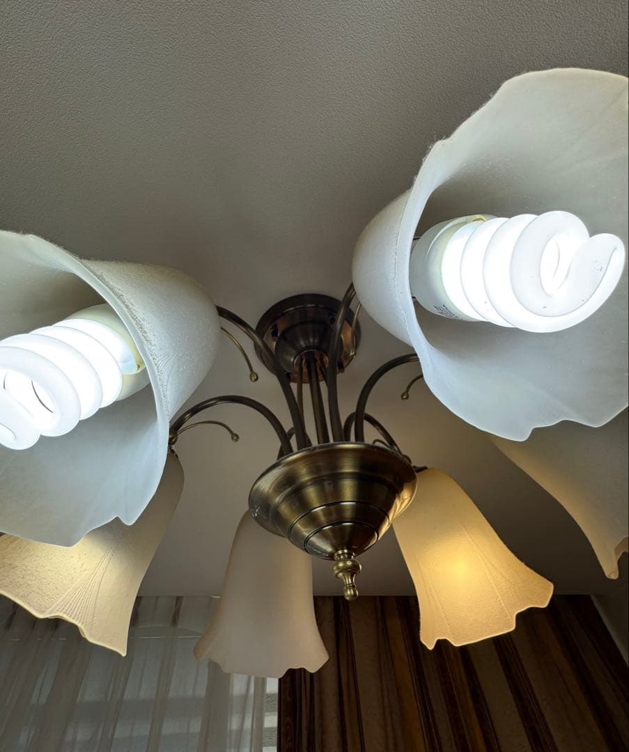 あと3日　山田照明　6灯　フラワー　ライト　シャンデリア アンティーク