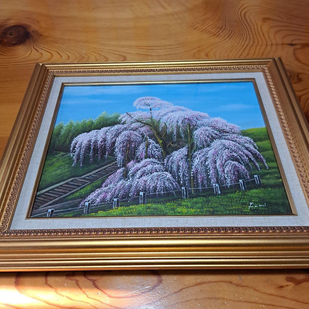 なんと‼️今だけ特別価格【期間限定商品　貴重品】日本三代桜 三春滝桜 福島県