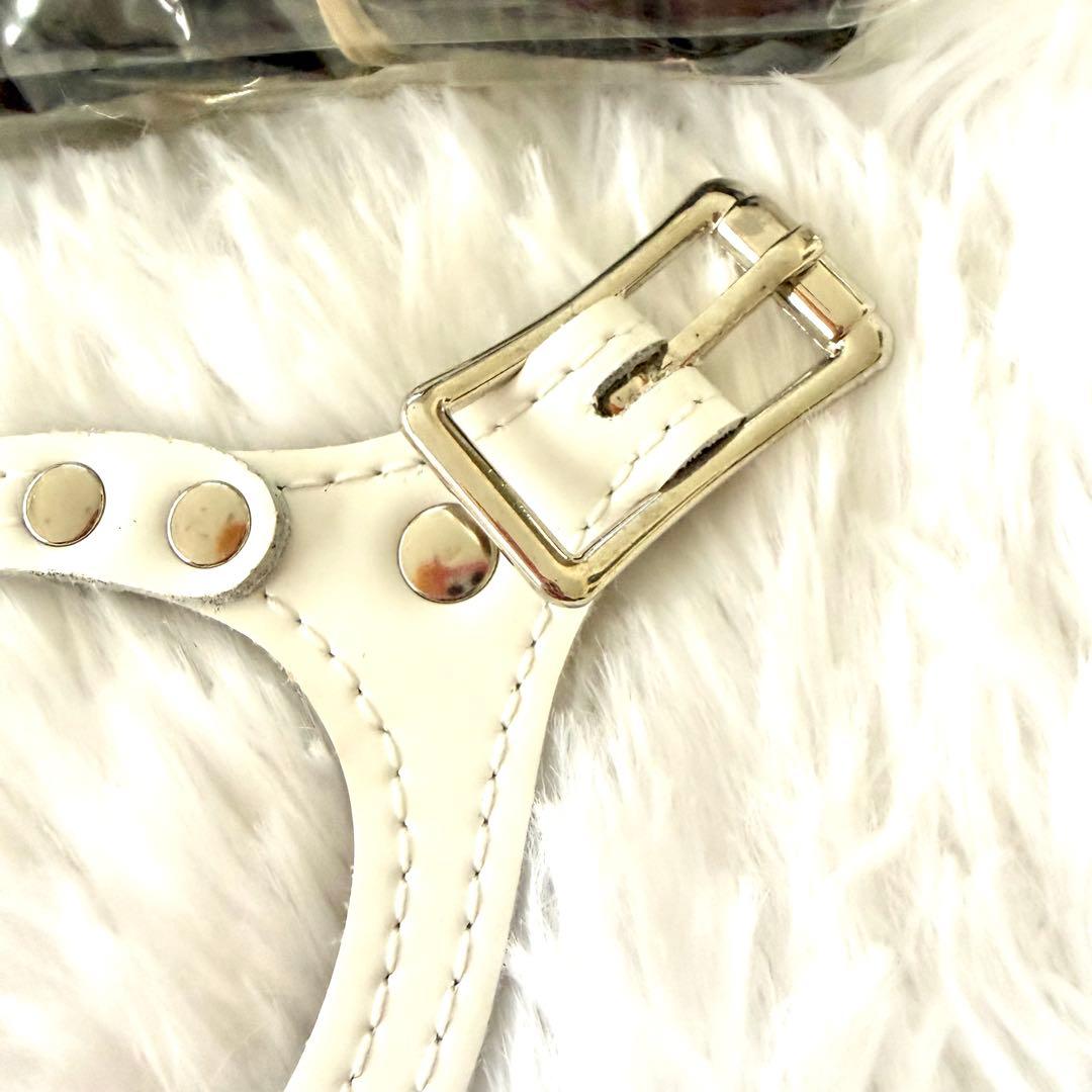 [新品] BBベルト 2.5号 スワロフスキー付き+リード セット*ホワイト