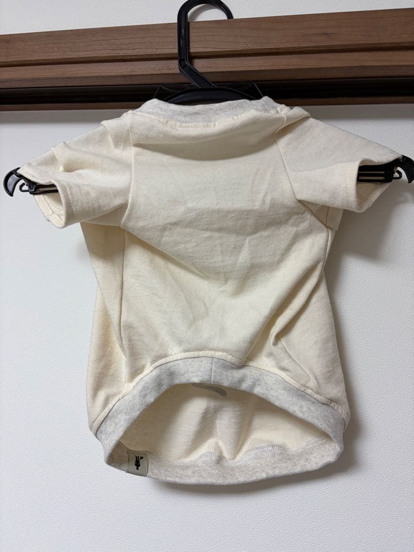 ADVENTURE IS OUT THERE! ×CHEERBEE(R)