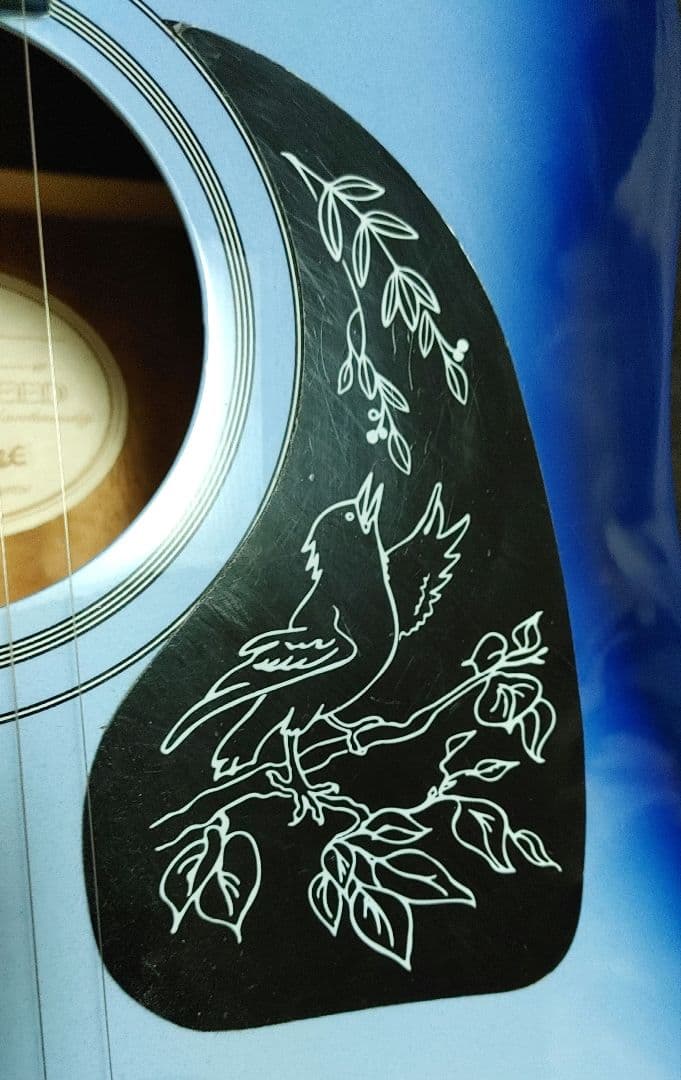 エピフォン　アコースティックギター　専用ソフトケース付