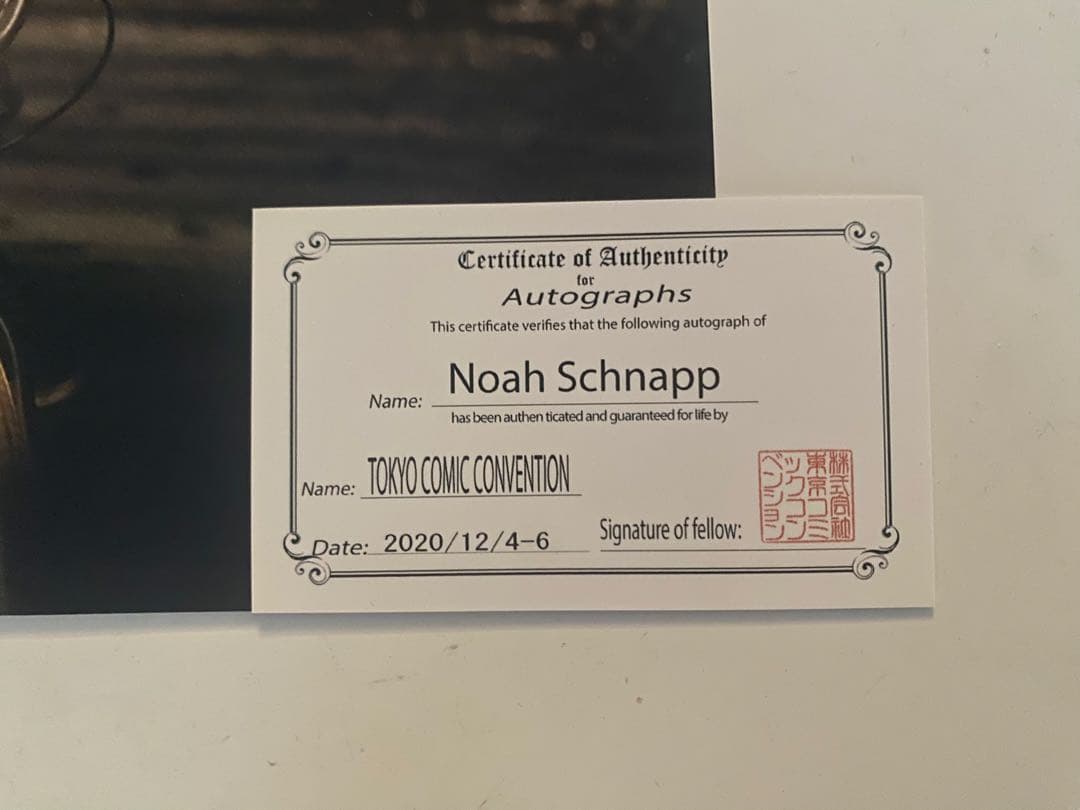 ストレンジャーシングス　ノア•シュナップ サイン入り写真