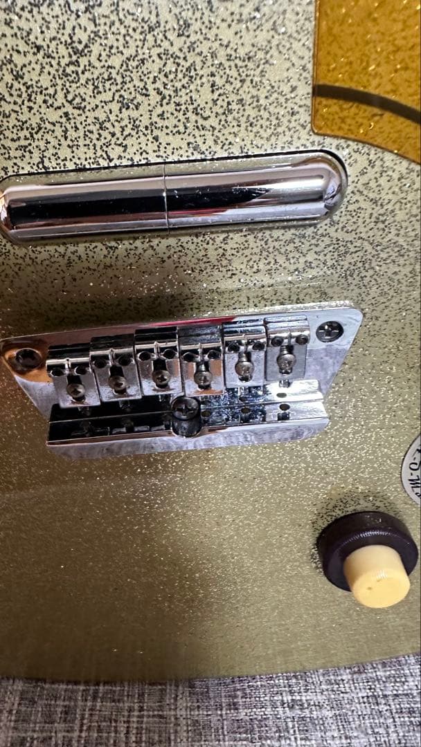 M*a様 DANELECTRO エレキギター ゴールド