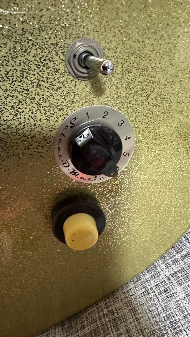 M*a様 DANELECTRO エレキギター ゴールド