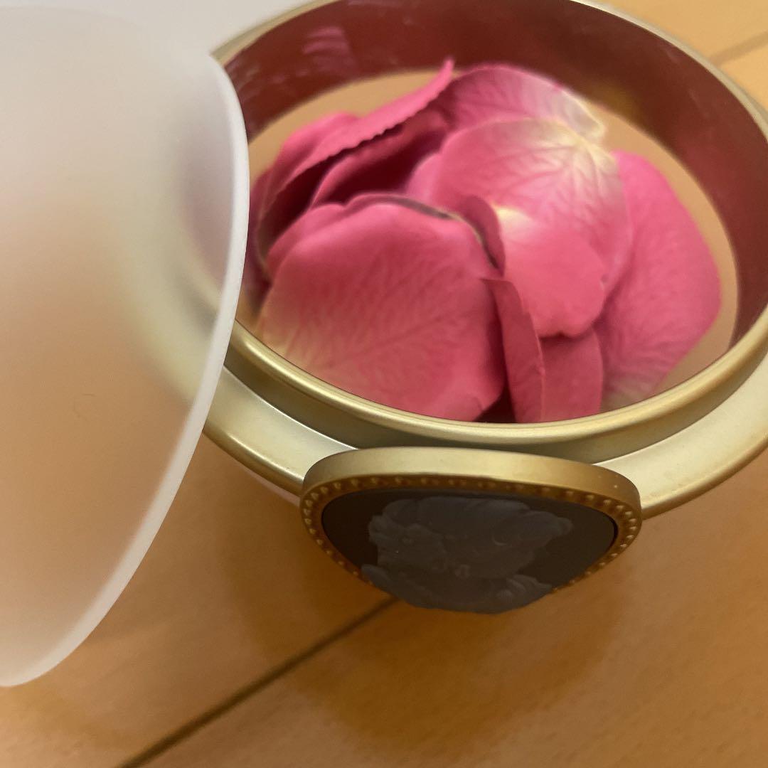 レ・メルヴェイユーズ ラデュレ パウダー チーク カラー 02 Pompado…