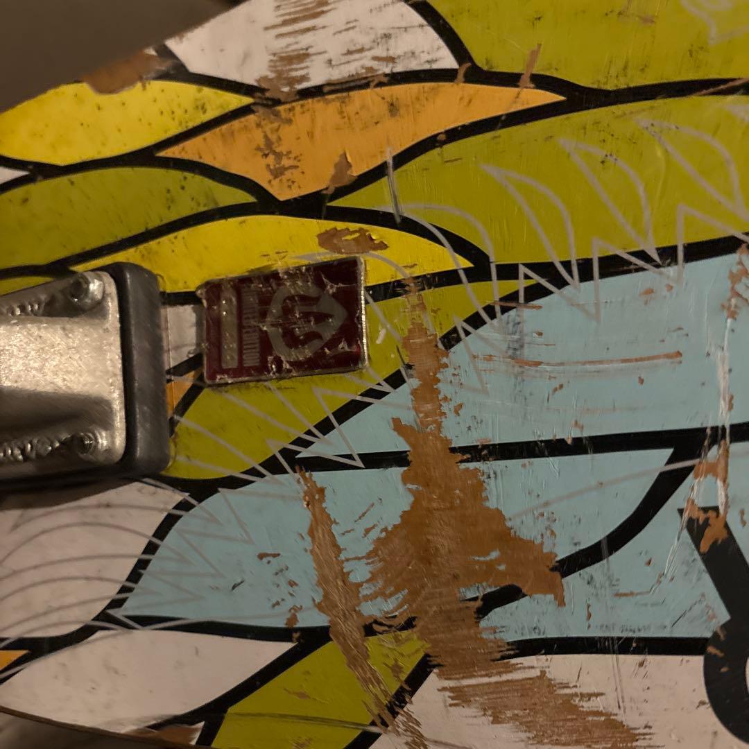 Carver ロングボード カラフルデザイン