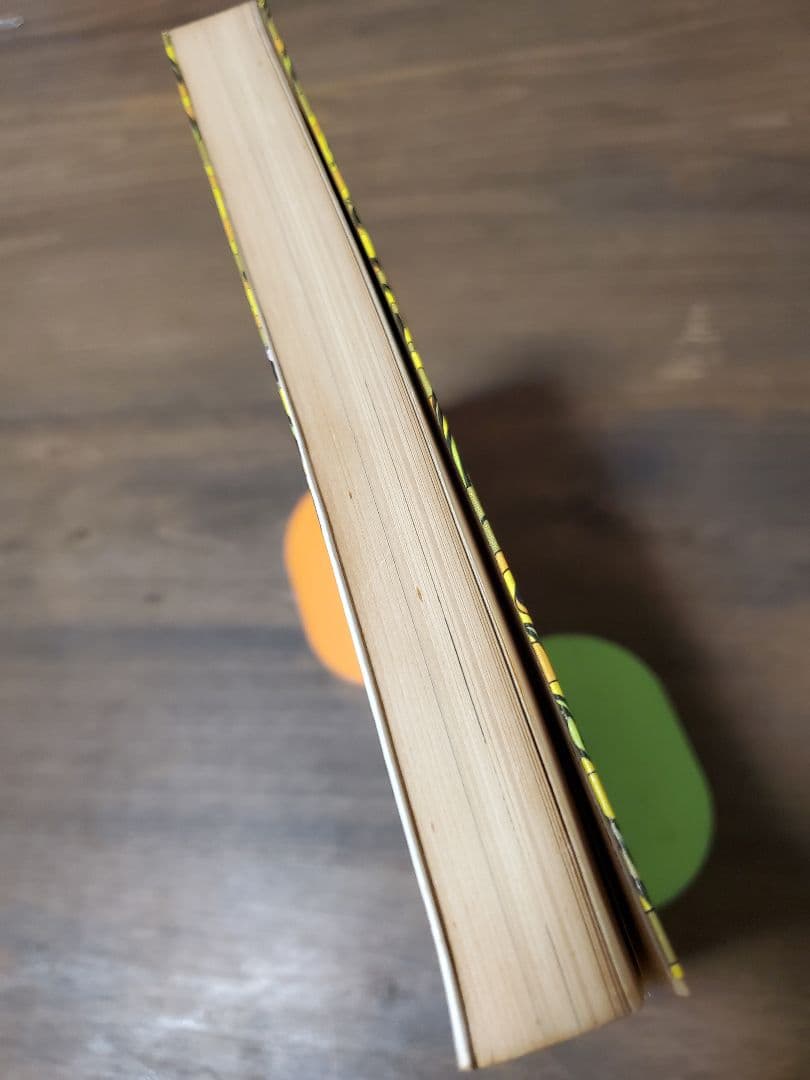 直野祥子集☆ブロンズ社