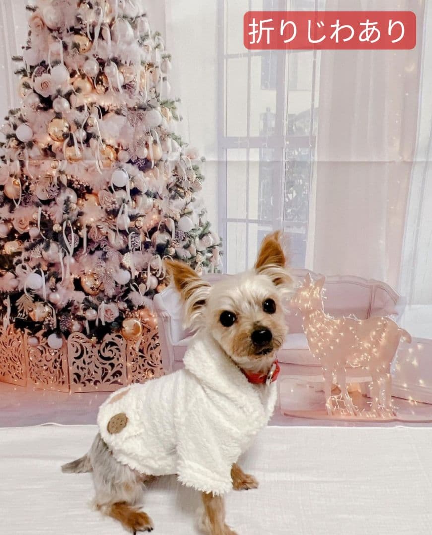 業務用フェルトトリミングチョーカー+背景布　ハロウィン　クリスマス　撮影用ブース