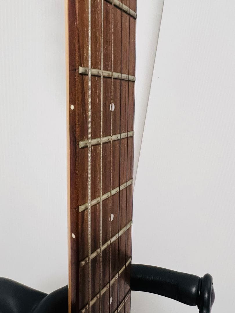 AriaProII Magna series アリアプロ 希少カラー 送料無料