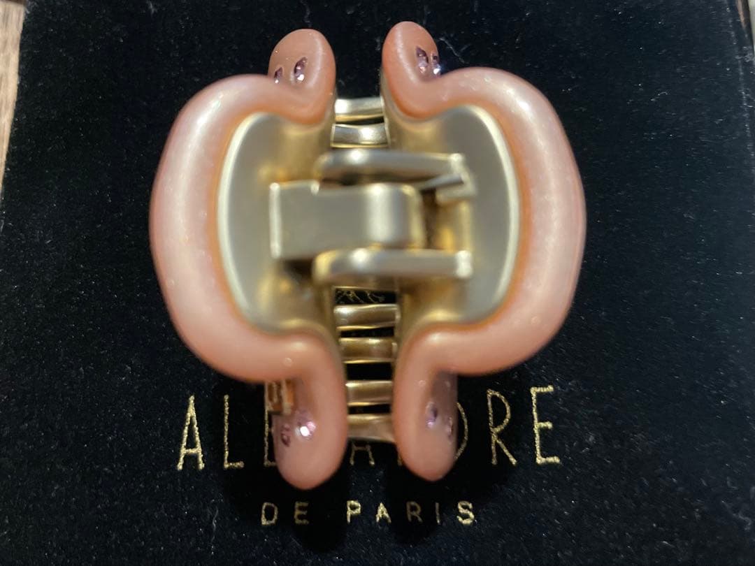 ❤︎ALEXANDRE❤︎ヘアクリップS