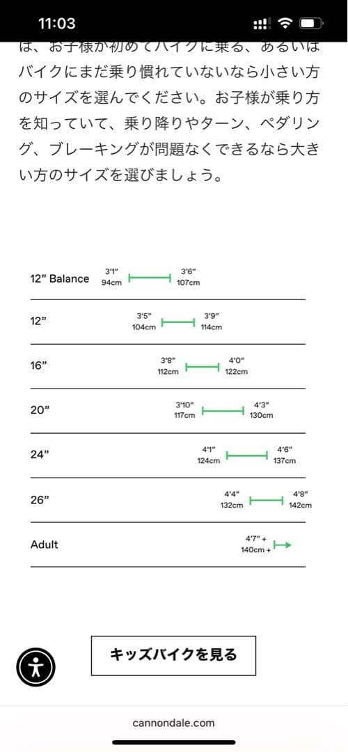Cannondale キッズバイク シルバー/ブルー　16