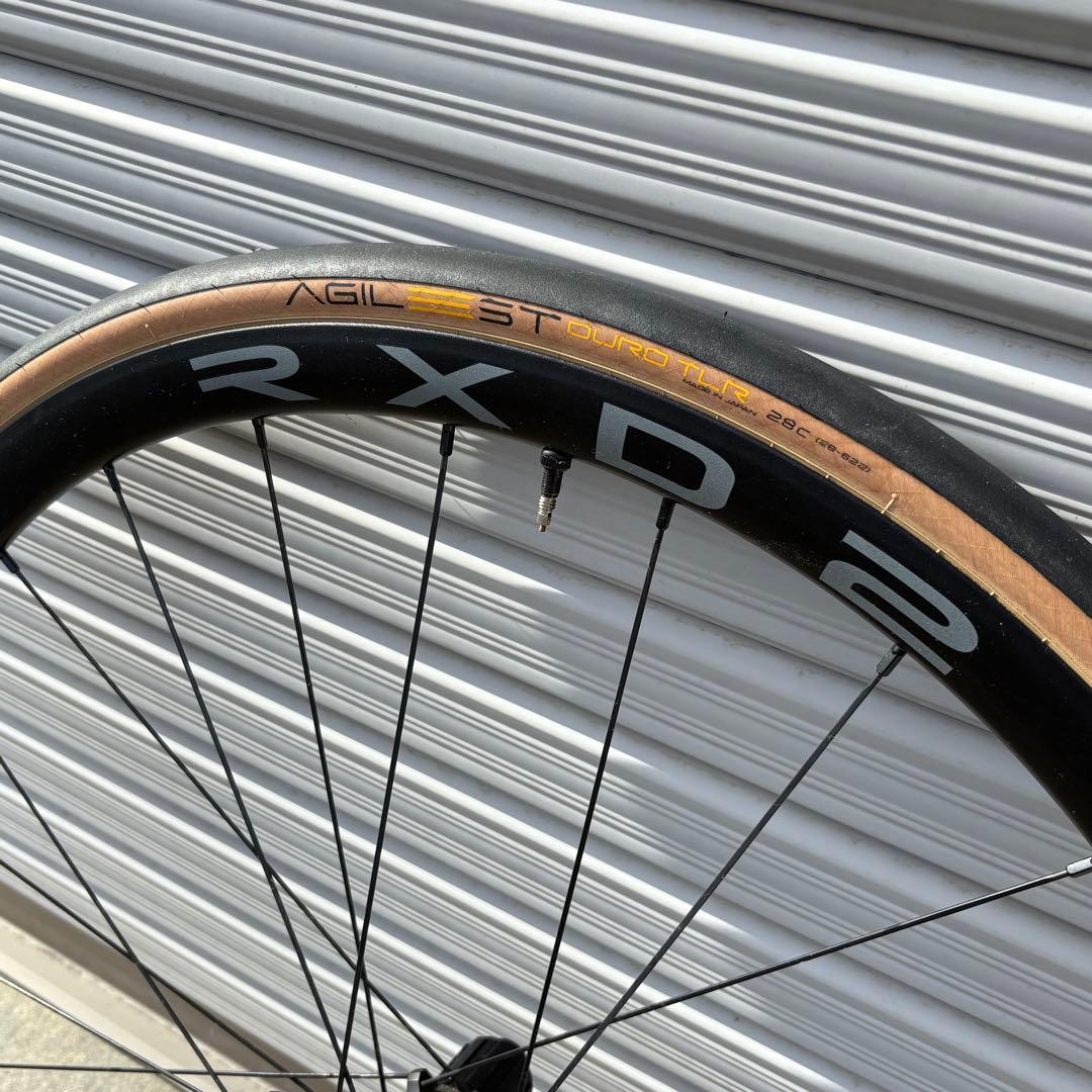 ALXERIMS RXD2 アレックスリム ディスク＆アジリスト付き